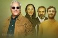 مهران مدیری