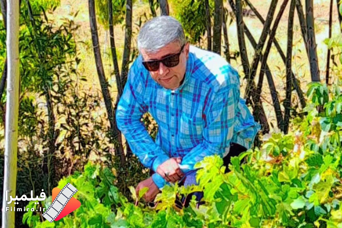 احمد شاطبی