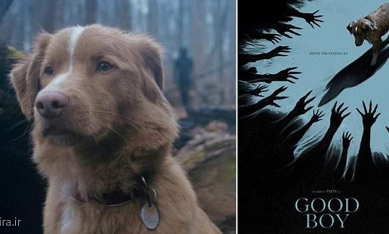 تریلر جدید فیلم Good Boy با ژانر وحشت منتشر شد 4 فیلم Good Boy